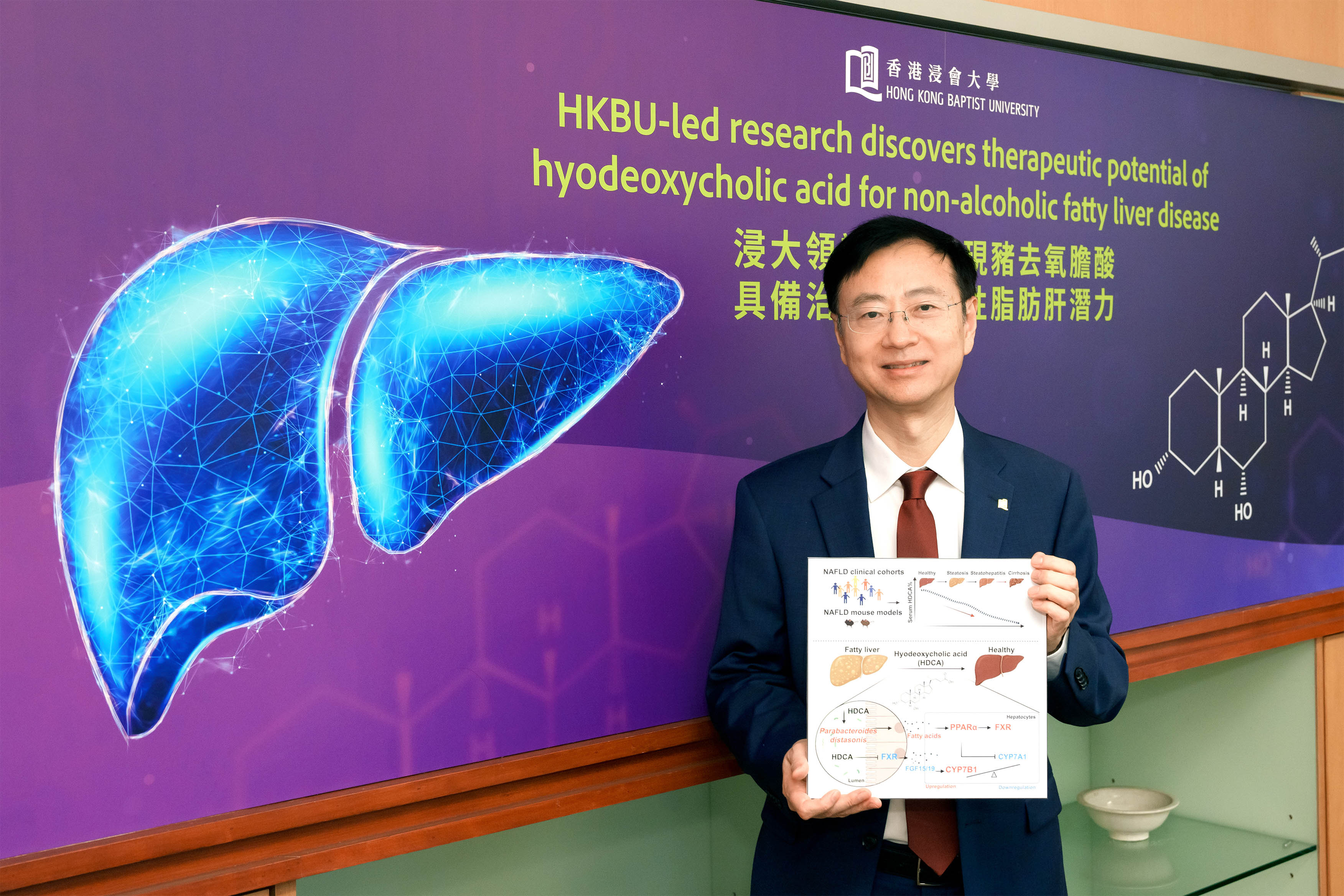 Can non-alcoholic fatty liver disease be cured? HKBU research offers hope