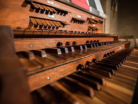 organ