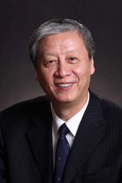 Professor Zhong Binglin