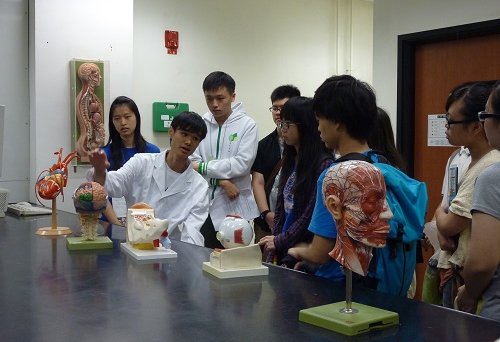 A student ambassador (second from left) introduces the teaching models of the teaching laboratories to visitors