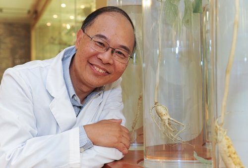 黄岳顺教授花了十多年时间深入研究人参不同成分对人体细胞的影响，目标是评估人参对人体的潜在疗效。