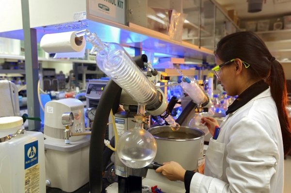 中医药学院群策群力，贡献中医药国际标准制定工作