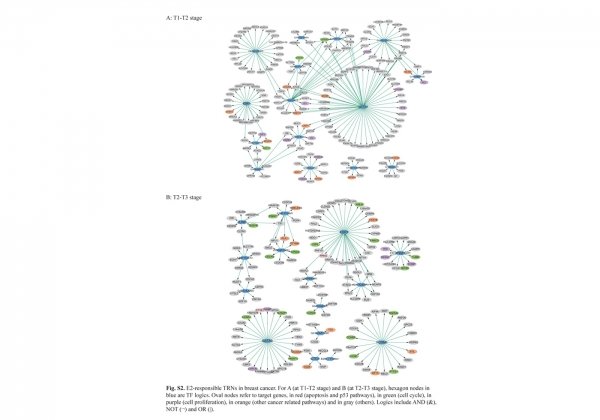 E2-responsible TRNs in breast cancer