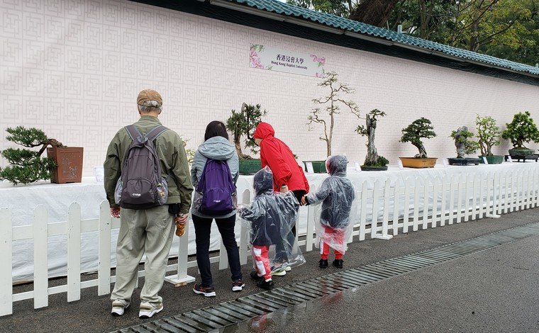 The penjing exhibits from the Man Lung Garden attract visitors