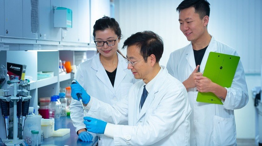 Merging metabolomics with traditional Chinese medicine 