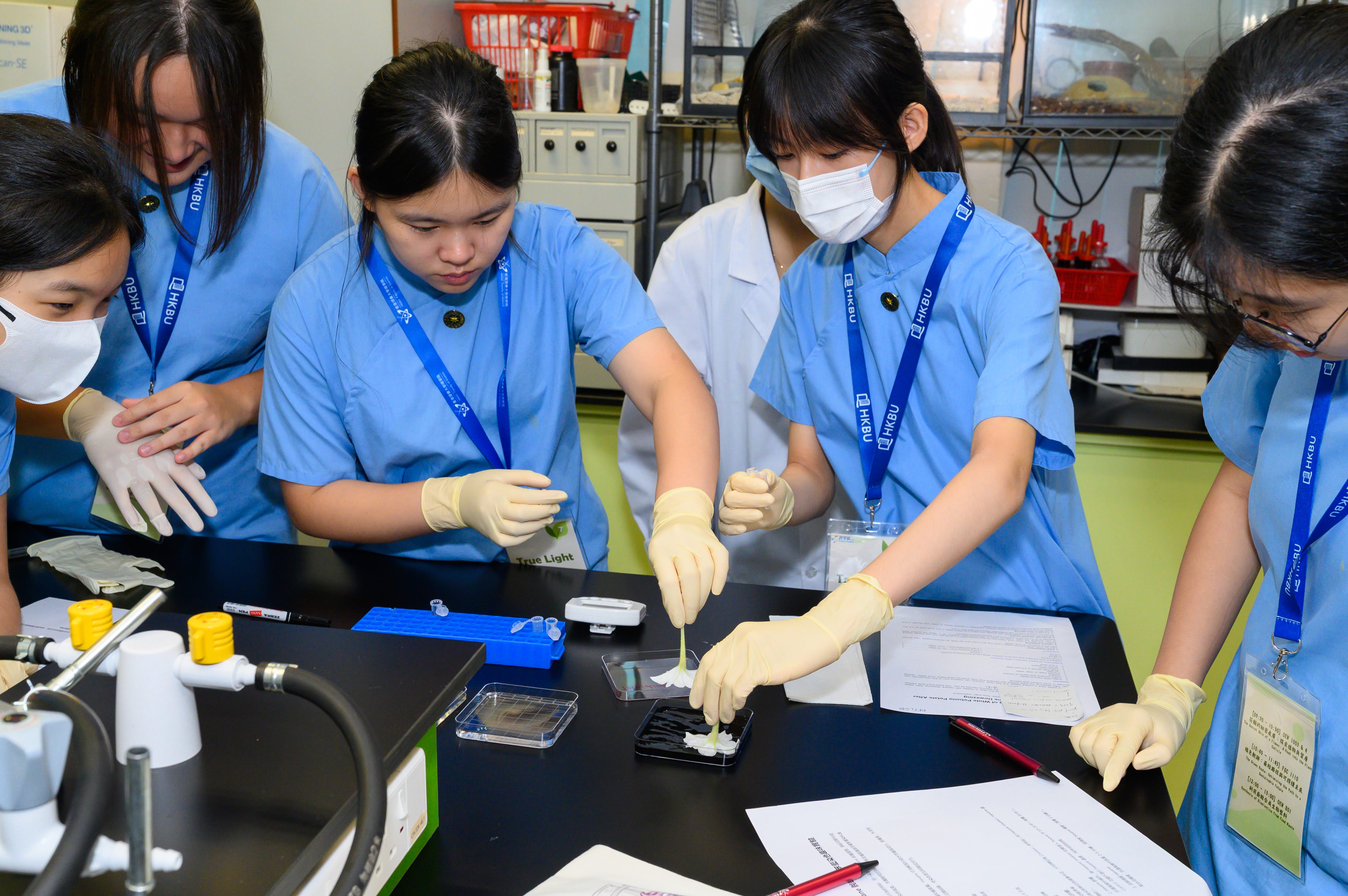科學節2026啟發中學生共建可持續未來