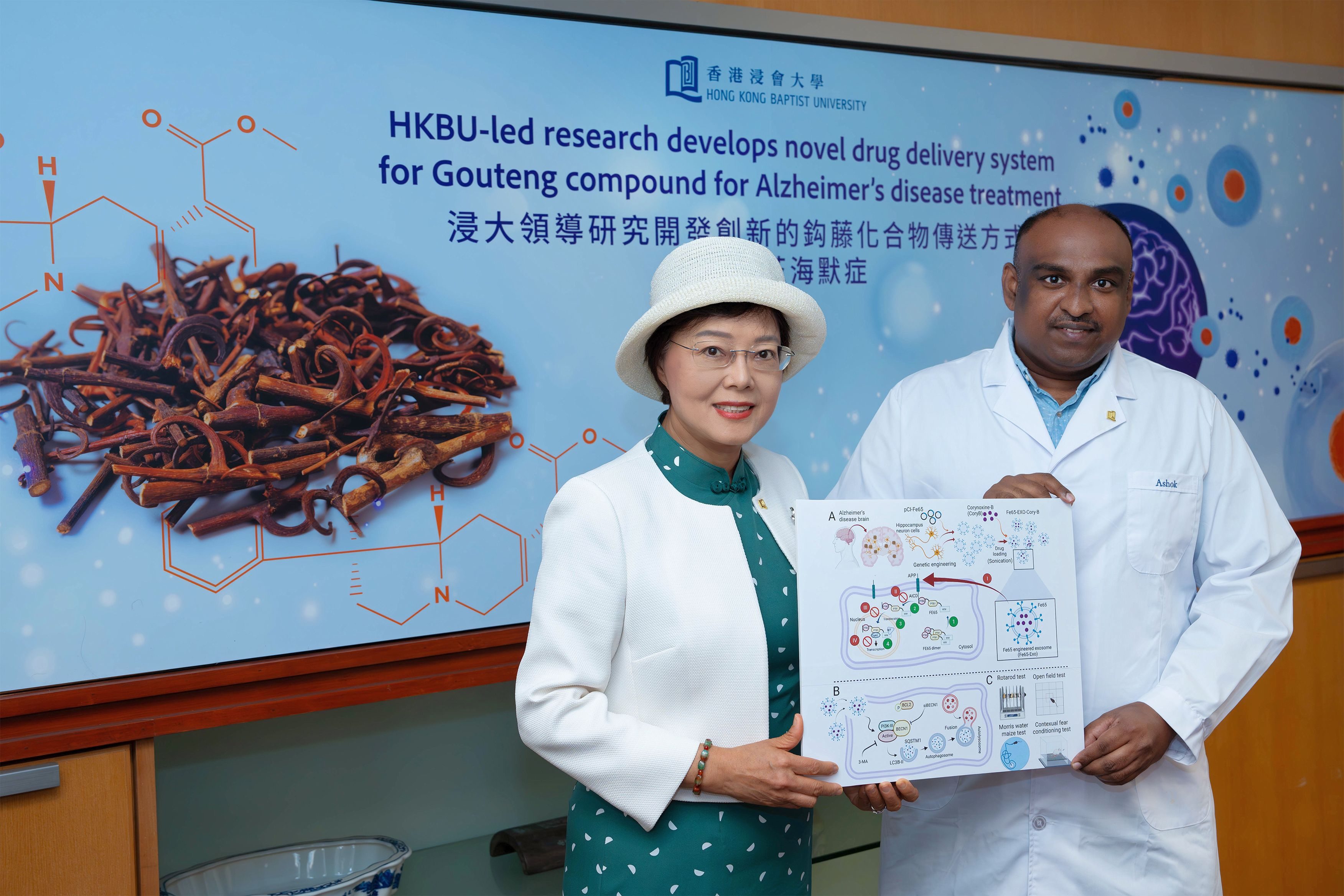 New drug delivery system helps treat Alzheimer's disease