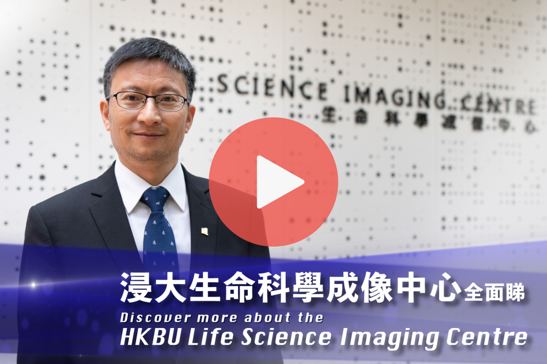 New ‘Life Science Imaging Centre’ promotes transdisciplinary research