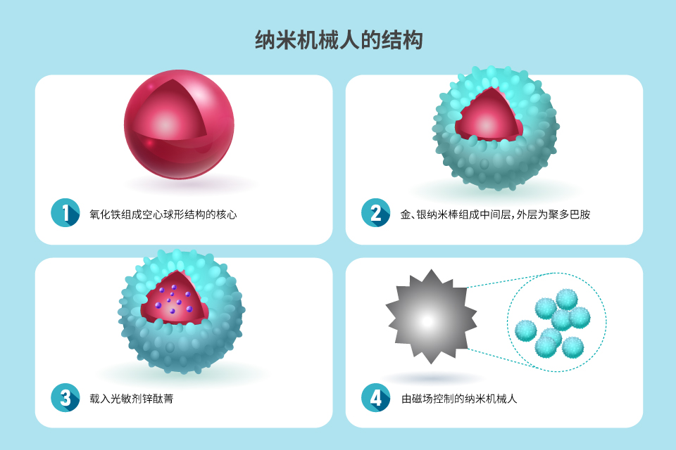 多功能纳米机械人的结构。 