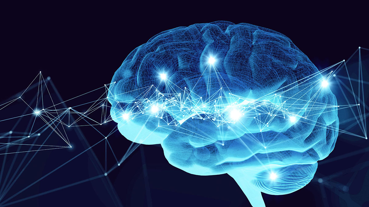 浸会大学跨学科研究揭示压力下的脑网络机制