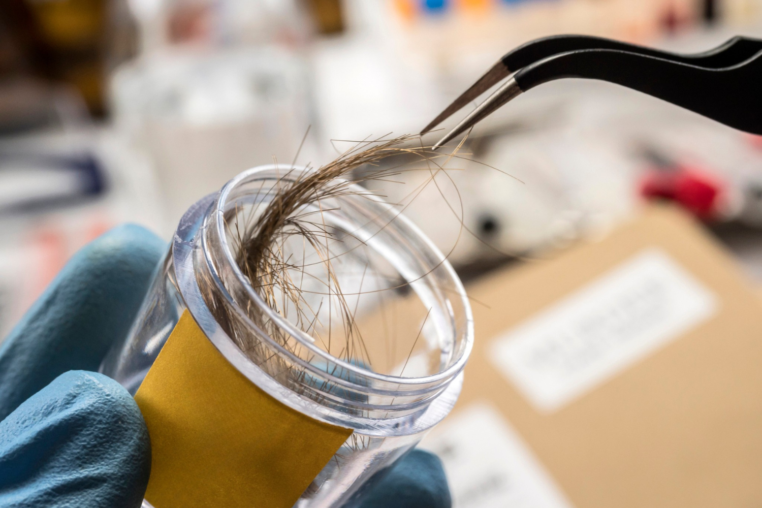 Hair analysis as a potential tool for early risk assessment of gestational hypothyroidism