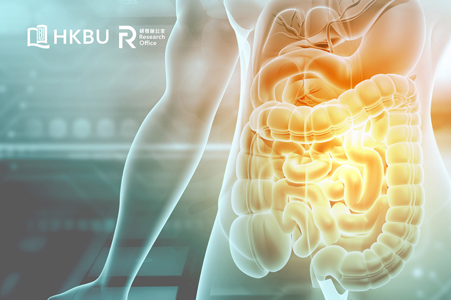 HKBU and collaborators discover gut-derived molecule that suppresses autoimmune uveitis